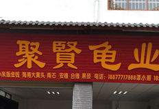 祝賀相成設計與廣西聚賢龜業(yè)達成品牌形象logo設