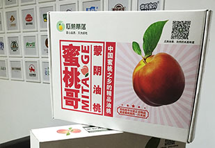 瓜熟地落水果品牌包裝設(shè)計出爐