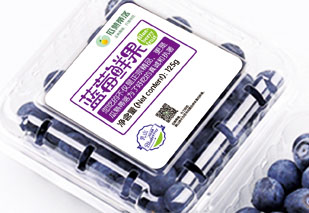 瓜熟蒂落藍莓包裝設(shè)計