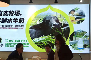 恭祝小親牛品牌包裝設(shè)計成功登陸市場