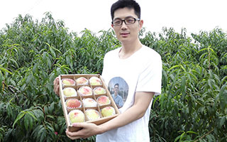 北斗設計和蜜桃哥走過了三年·····