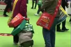 天津大爺大媽最忙、達(dá)利園最苦