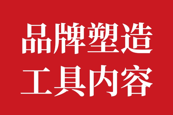品牌構(gòu)建載體及作用01